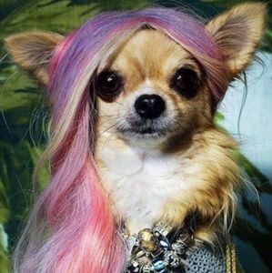 Meet your Posher, Lynella